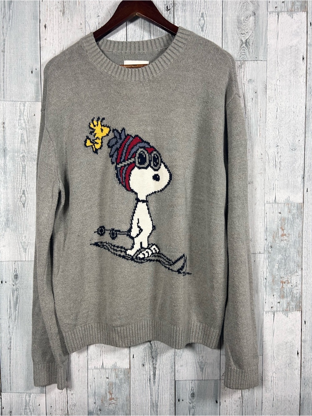 Hollister Peanuts Snoopy Woodstock Graphic Knit Sweater Gray Relaxed Fit M